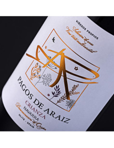 Pagos de Araiz Crianza 2022 2