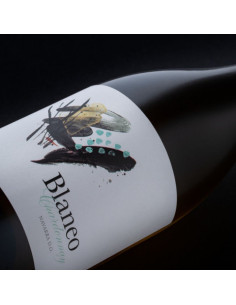 Blaneo Chardonnay 2024 2