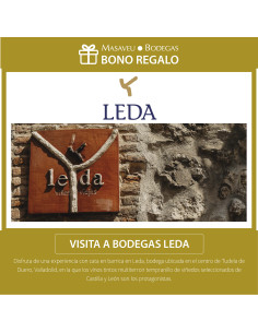 Bono regalo -Visita Bodegas...