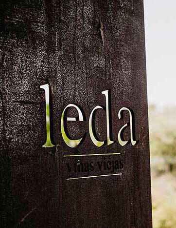 Bodegas Leda